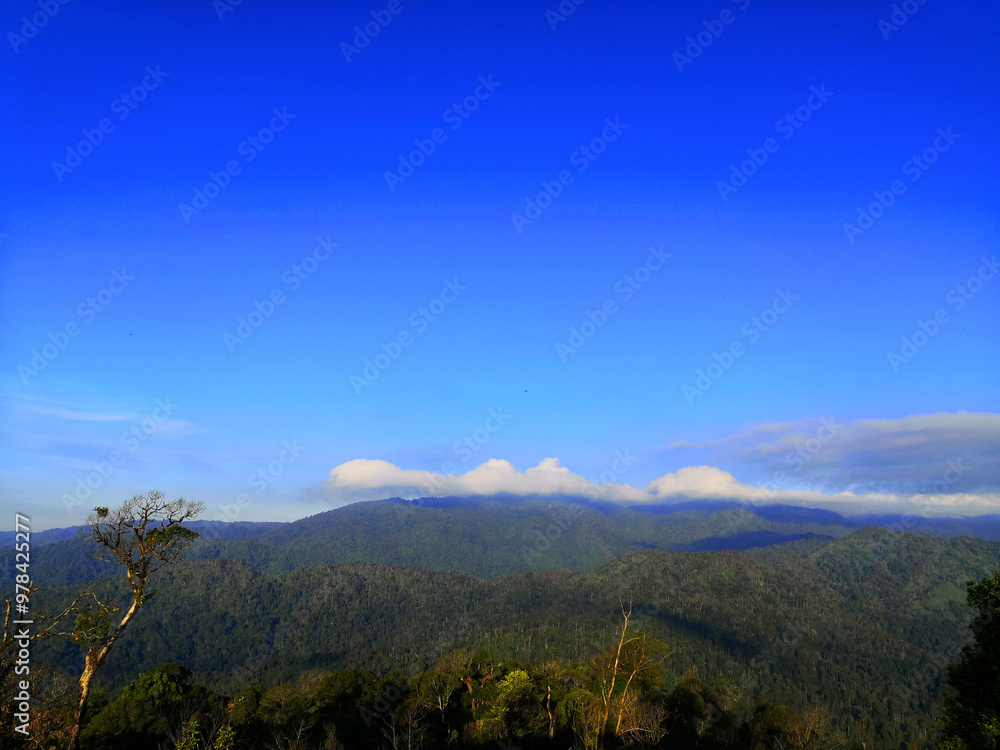 Fototapeta premium I love the clear sky