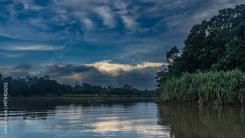 Morning on a tropical river. Thickets of rain forest, lush grass on the shore. Clouds in the blue sky. Reflection on the smooth surface of the water. Malaysia. Borneo. Kinabatangan River.