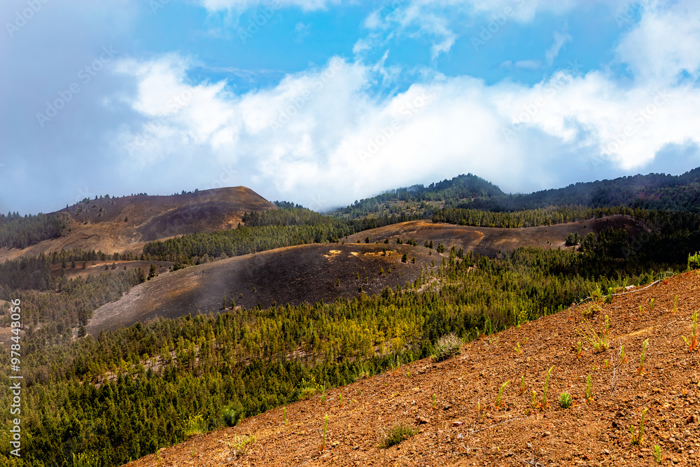 Naklejka premium Volcanic landscape, Island La Palma, Canary Islands, Spain, Europe.