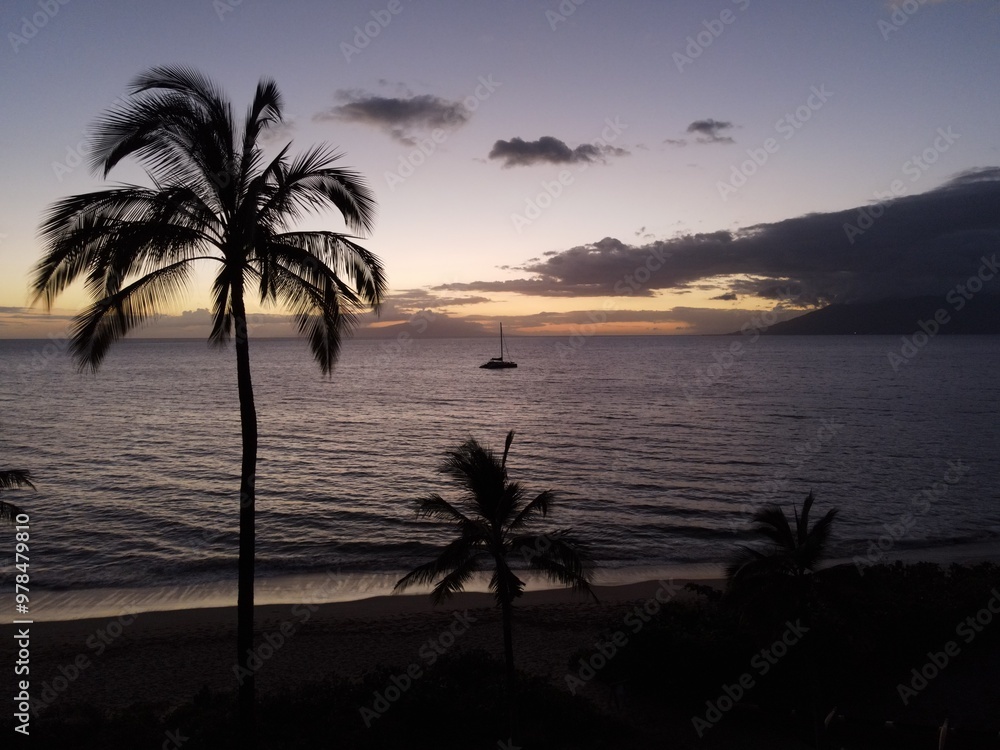 Obraz premium Sunset View with Palm Tree Yacht Silhouette