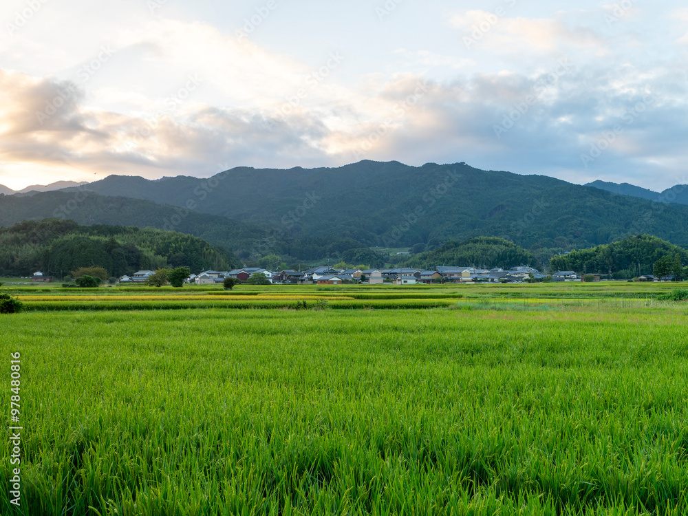 Obraz premium 奈良県の明日香村に広がる田園風景