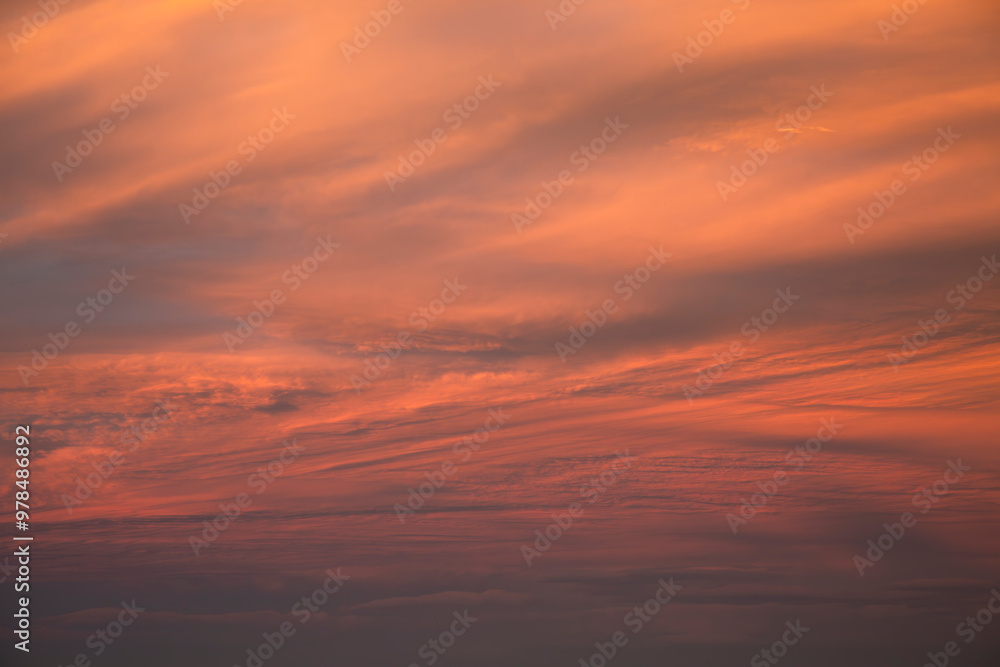 Obraz premium Evening Nor'west Arch Sky, Canterbury, New Zealand