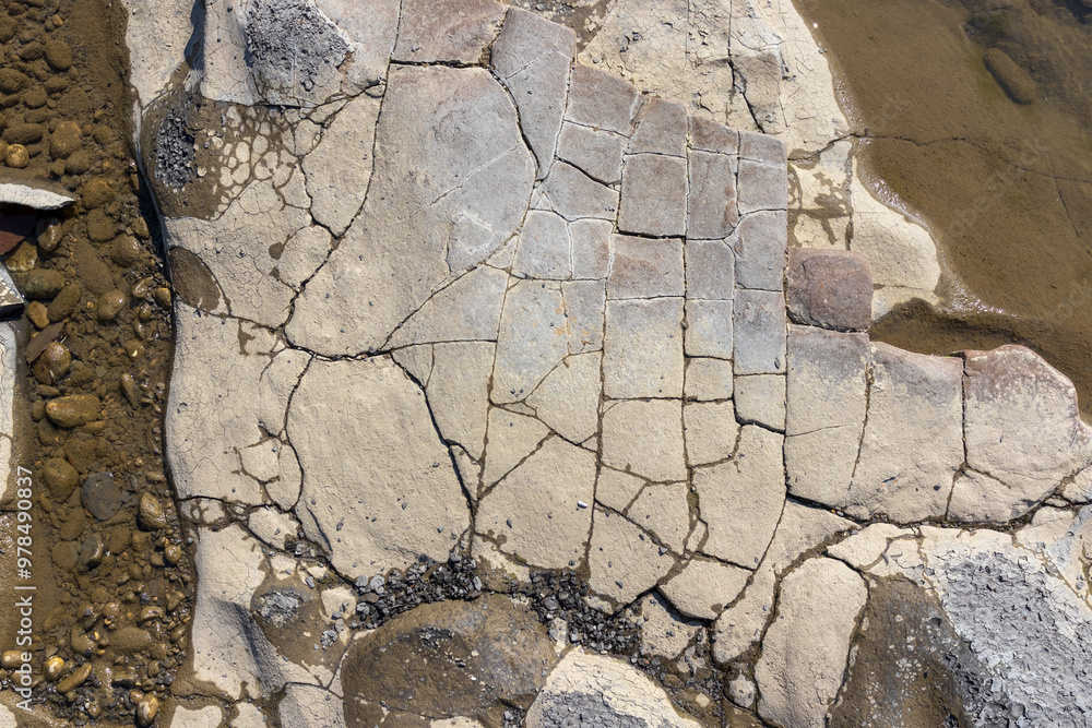 Fototapeta premium the structure of the bottom is a shallow mountain river, an old man and nature walks, a sunny day