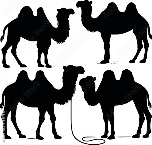 Silhouetted camel animals collection vector illustration isolated stock photos image generated Ai