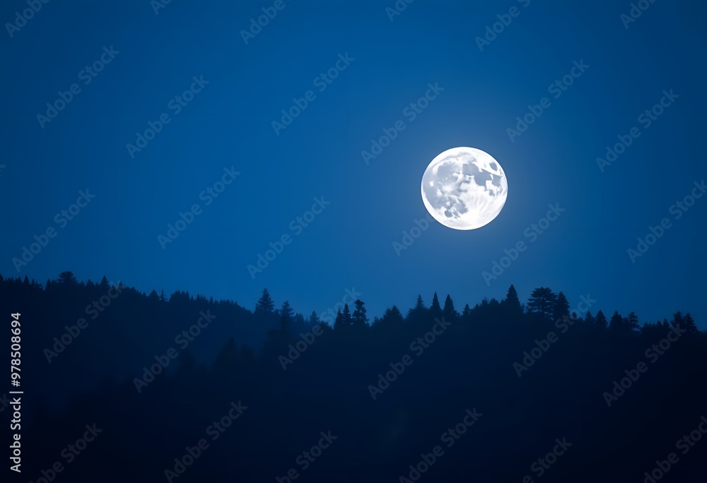 Full Moon Over Forest Full Moon Over Forest