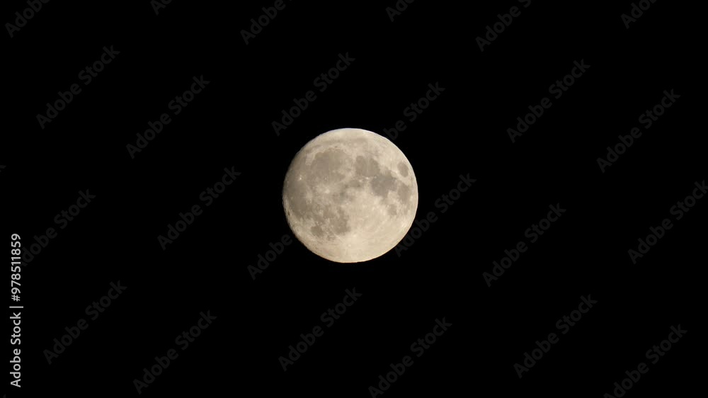 Stunning Supermoon Rising on the Horizon on September 16
Stunning Supermoon Rising on the Horizon on September 16