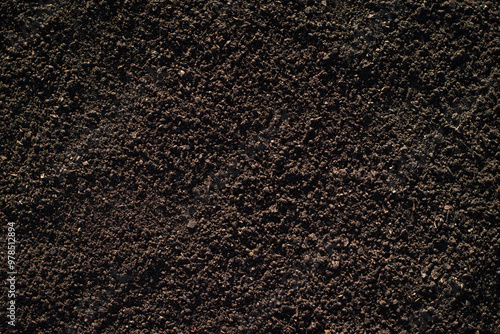 Fertile soil suitable for cultivation.