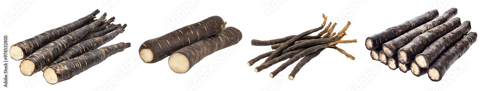 Freshly harvested black salsify roots arranged artistically on a white background. Freshly harvested black salsify roots arranged artistically on a white background.