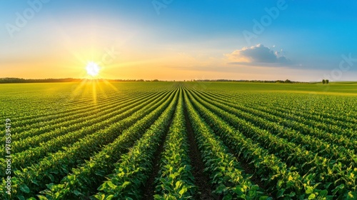 A serene landscape of green fields under a bright sunrise, symbolizing growth and renewal.