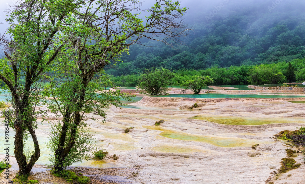 Misty Landscape of Huanglong Terraced Pools and Greenery Misty Landscape of Huanglong Terraced Pools and Greenery