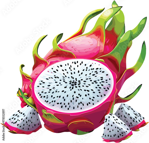 Vector illustration of fresh dragon fruit which contains lots of vitamins