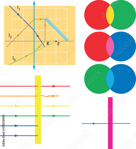 Optics, reflection lesson forms, Light Reflection infographic diagram with example of light source where incoming rays reflected on a smooth shiny mirror surface for physics science education