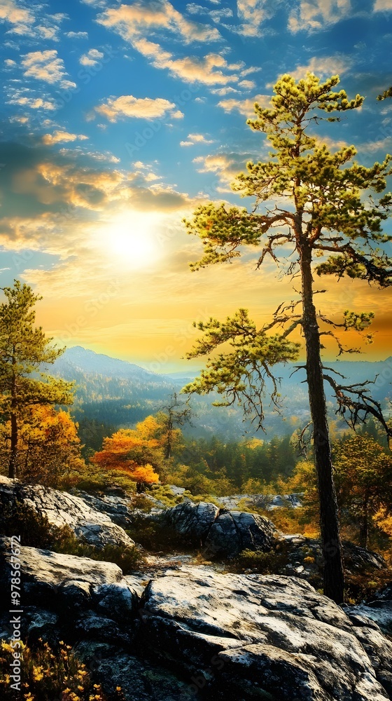 Autumn Landscape with Pine Tree and Rocky Terrain Autumn Landscape with Pine Tree and Rocky Terrain