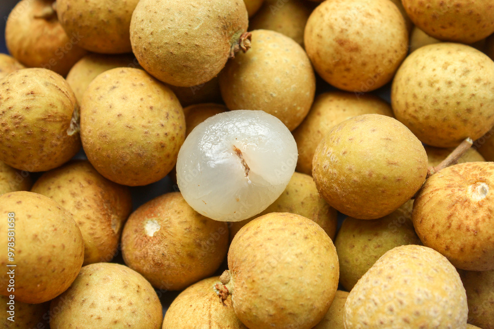 longan fruit texture close up. Dimocarpus longan
longan fruit texture close up. Dimocarpus longan
