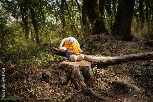 The plush bunny went on a hike in the autumn forest