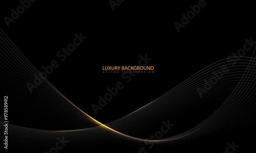 Abstract black gold line dynamic luxury curve smooth design modern premium elegant background vector