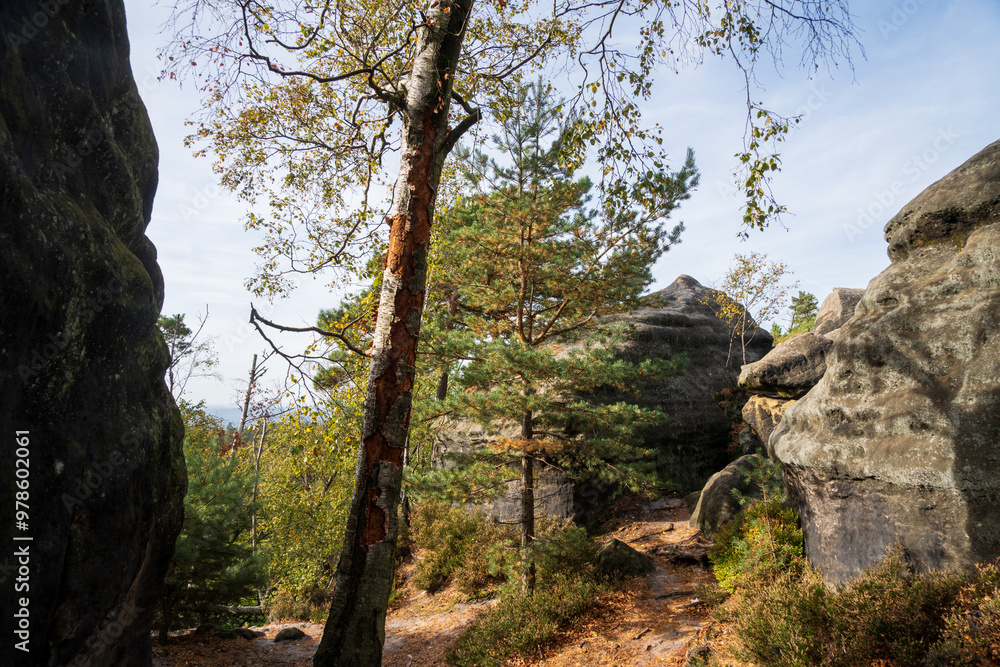 Rugged Rock Outcrops at an Overlook in Saxon Switzerland National Park, Nationalpark Sächsische Schweiz Rugged Rock Outcrops at an Overlook in Saxon Switzerland National Park, Nationalpark Sächsische Schweiz