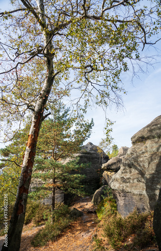 Rugged Rock Outcrops at an Overlook in Saxon Switzerland National Park, Nationalpark Sächsische Schweiz