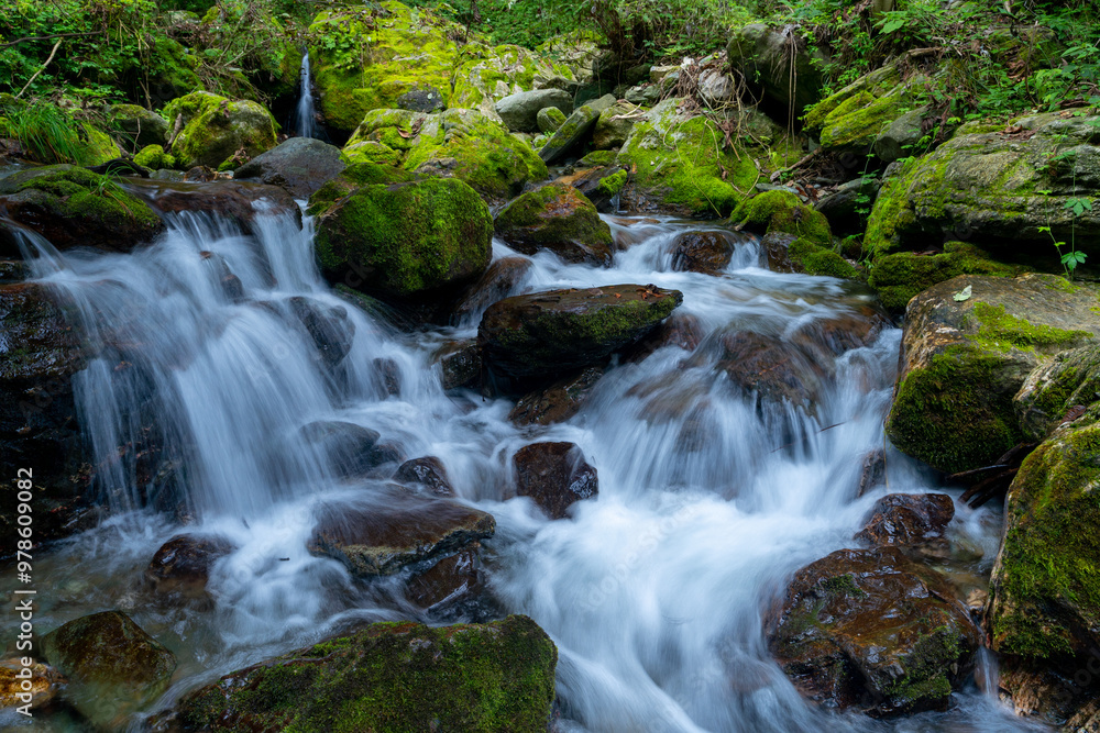 Naklejka premium A small stream covered in moss in the mountains
