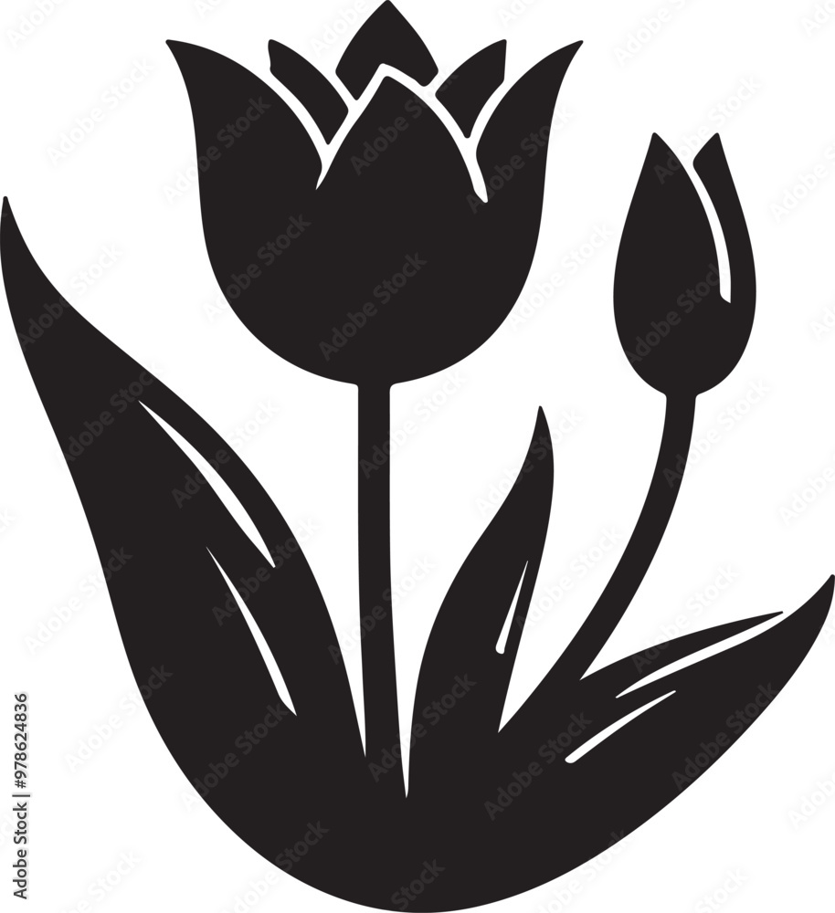 Obraz premium black and white tulip