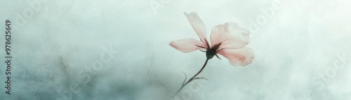 Delicate pink flower emerging from soft fog, symbolizing beauty and tranquility in nature. Ideal for serene backgrounds.