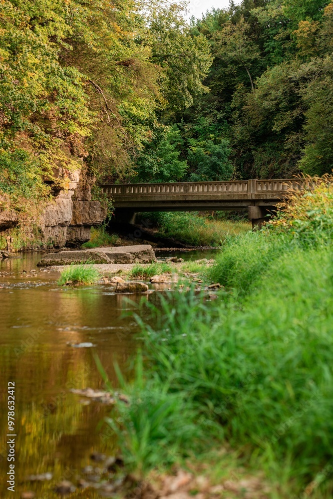Bridge Over Peaceful Autumn Stream
