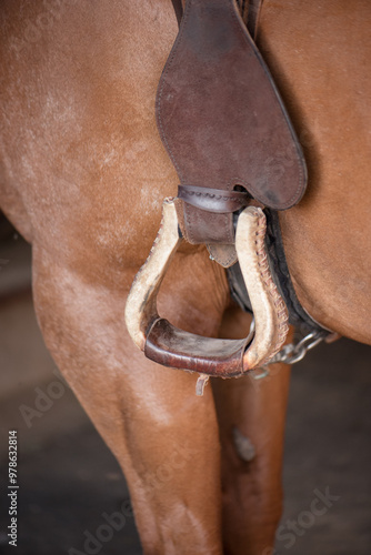 Close up of Stirrups on a horse