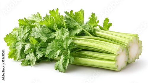 Fresh celery stalks with green leaves, ideal for cooking and snacking.