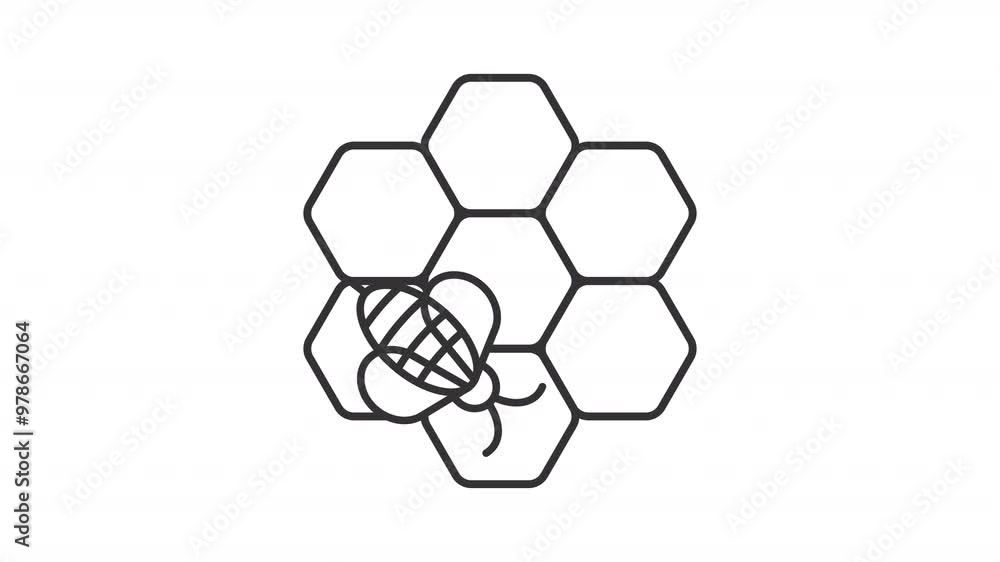 Honeycomb line animation. Honey comb animated icon. Flying bee, honeybee. Moving bumblebee. Beeswax cells, nectar. Black illustration on white background. HD video with alpha channel. Motion graphic Honeycomb line animation. Honey comb animated icon. Flying bee, honeybee. Moving bumblebee. Beeswax cells, nectar. Black illustration on white background. HD video with alpha channel. Motion graphic