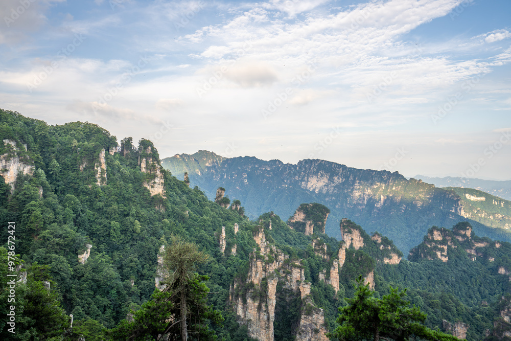Fototapeta premium Misty rock pillars and mountain landscape in Zhangjiajie, Hunan Province, China