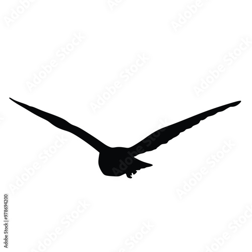 Silhouette of a bird in flight