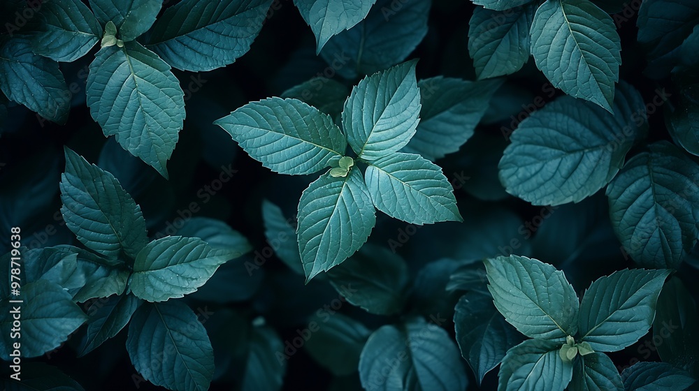 Natural Background : Generative AI Natural Background : Generative AI