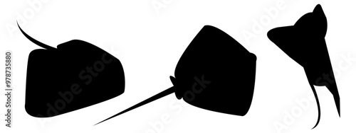 stingray silhouette set collection. isolated black on white background. sea, animal. vector illustration. photo