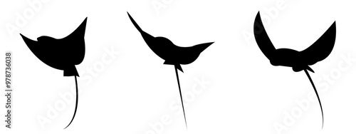 stingray silhouette set collection. isolated black on white background. sea, animal. vector illustration.