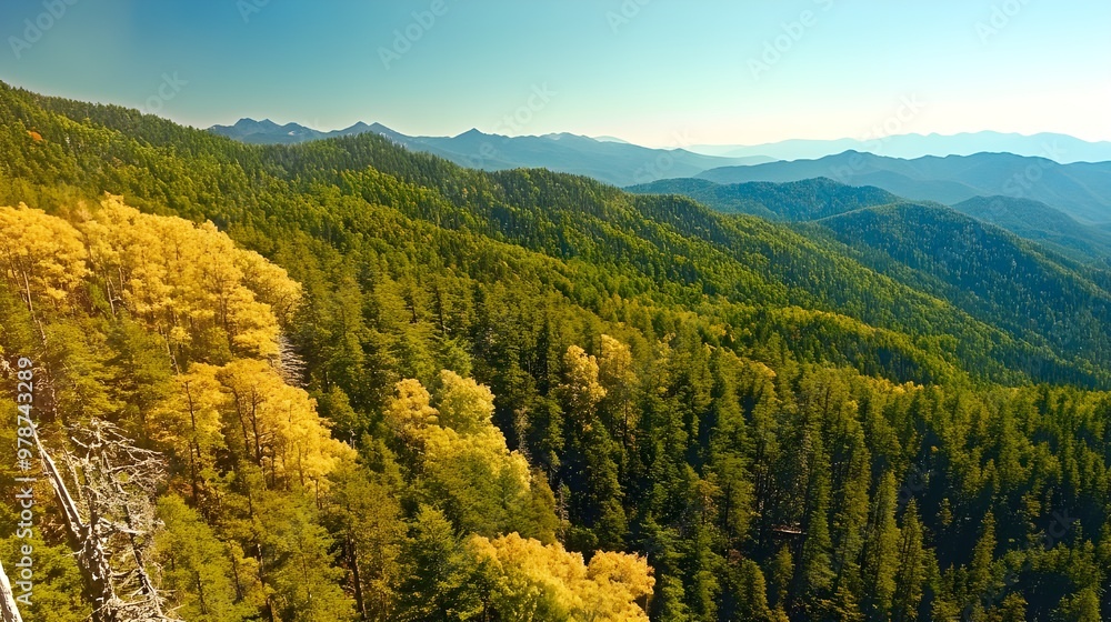 Autumn mountain scenery with colored leaves Autumn mountain scenery with colored leaves
