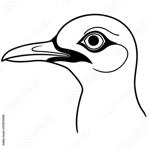 illustration of a bird photo