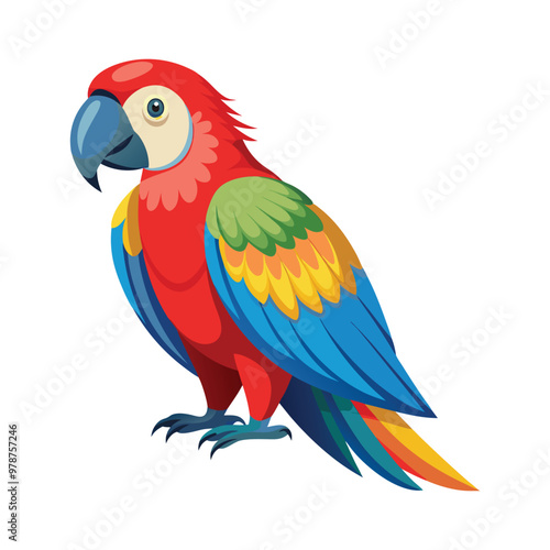 cute colorfull parrot vector isolated