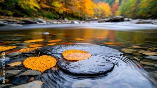 Peaceful Riverbank in Autumn Hues