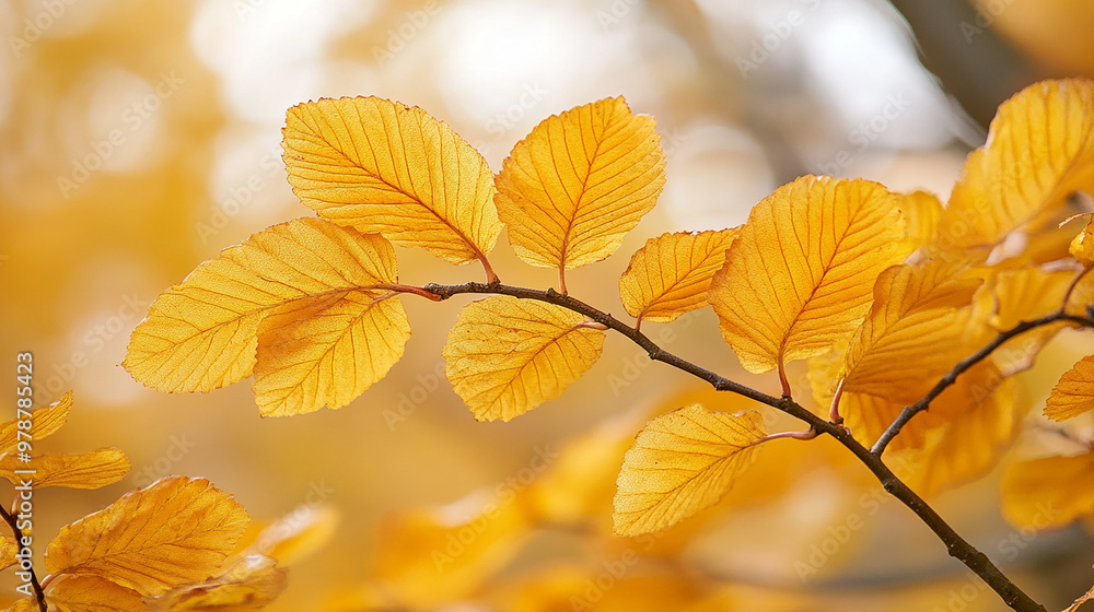 golden foliage in autumn closeup golden foliage in autumn closeup