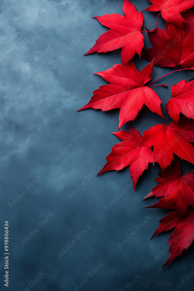 Autumn banner. Red leaves on dark blue slate with copy space. Autumn background Autumn banner. Red leaves on dark blue slate with copy space. Autumn background