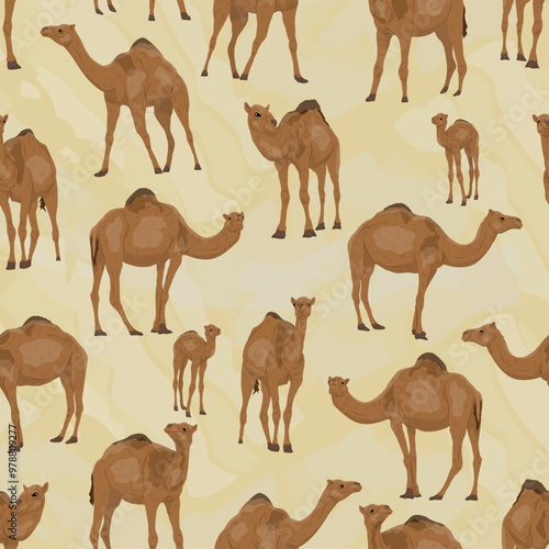 Seamless pattern with Dromedary camels Camelus dromedarius. Adult camels and their calves stand and walk. Realistic vector animals