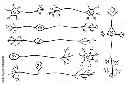 Hand-drawn illustrations of neuron cells