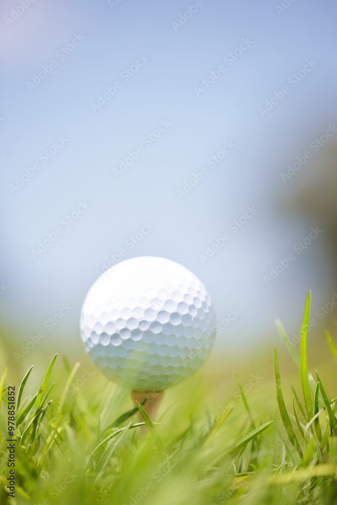 Grass, tee ball and golf course at country club in nature for fitness, competition or game. Mockup space, tournament and closeup of sport for practice on field with position set for outdoor hobby. Grass, tee ball and golf course at country club in nature for fitness, competition or game. Mockup space, tournament and closeup of sport for practice on field with position set for outdoor hobby.