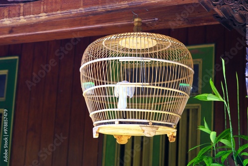 Traditional bird cage hanging on the ceiling photo