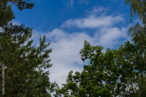 Blue sky and white and gray clouds. Texture background for design.