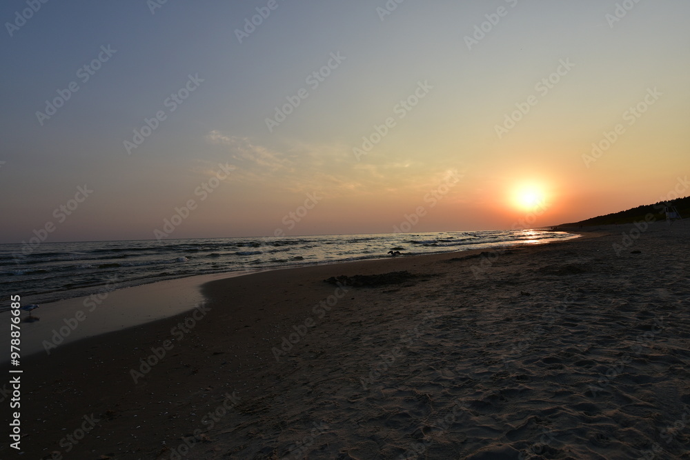 Naklejka premium Baltic Sea beach in Jantar September 2024