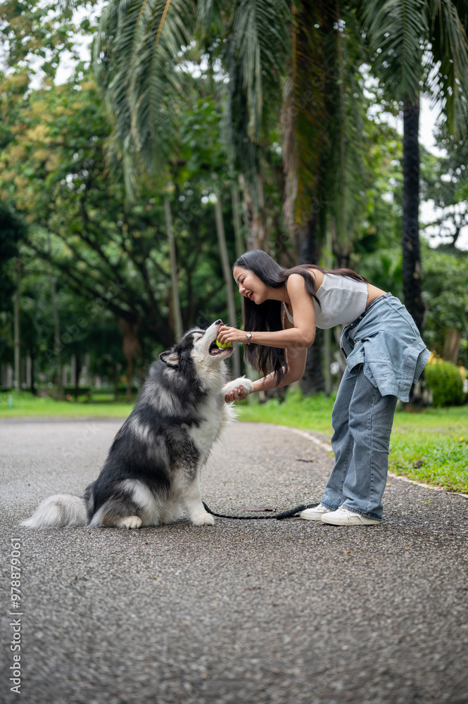 A female dog owner is training her dog to give a handshake and obey using a tennis ball. A female dog owner is training her dog to give a handshake and obey using a tennis ball.