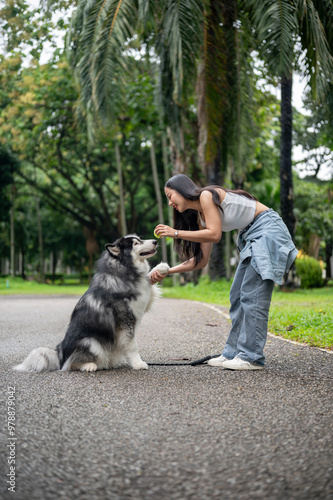 A female dog owner is training her dog to give a handshake and obey using a tennis ball.