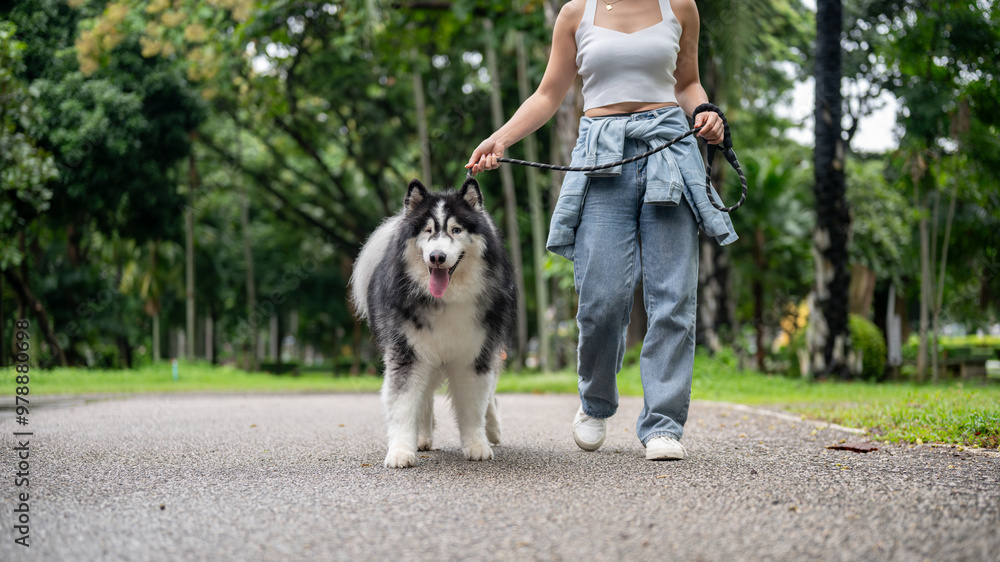 A woman is training her dog while walking it on a leash in a green park. A woman is training her dog while walking it on a leash in a green park.