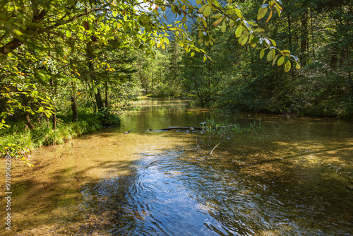 Slow Flowing Falkensee Creek photo